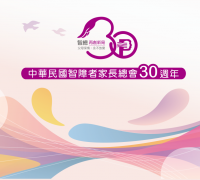 智總30